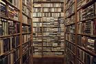 gallery/9d5bdbe79ce1440fac36090cf81ec99b